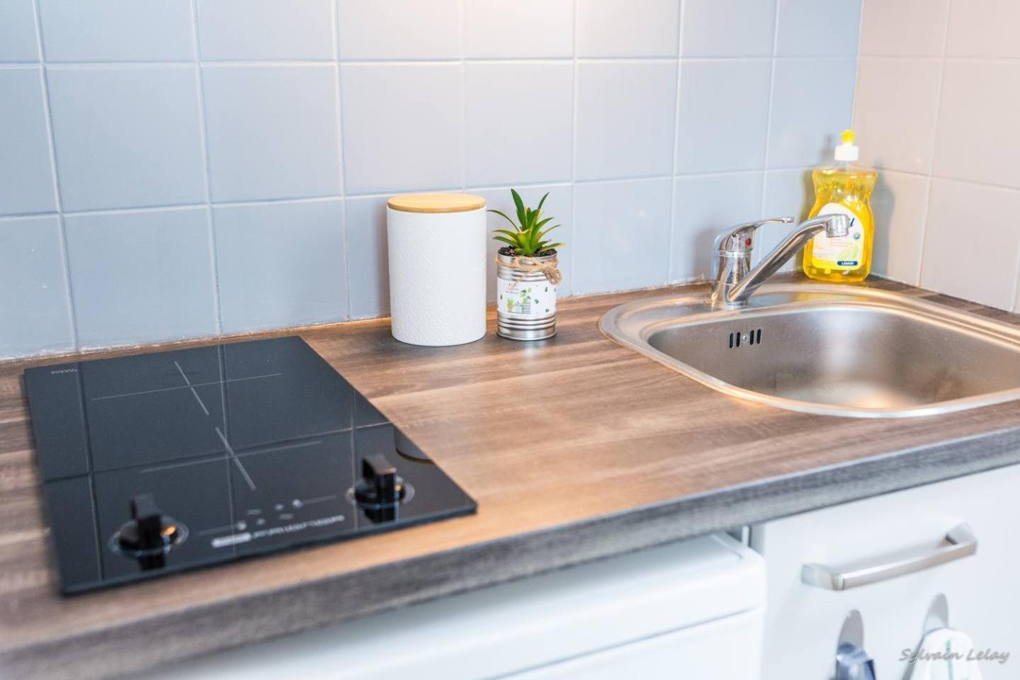 Appartement T2 - Proche Gare - Bord De Vilaine Rennes Eksteriør bilde
